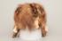 Купить Шапки женские и мужские Меховая шапка «Wild fur» («Дикий мех», Ваилд фа)